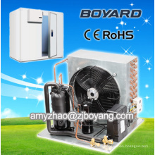 Zitrone-Kühlhaus mit Boyard Kältetechnik Kompressor-Kühlaggregat